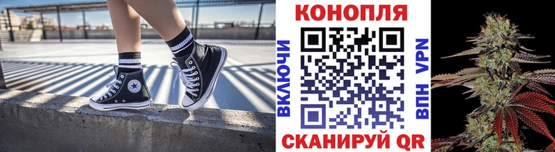 Бошки Шишки план  Луга 